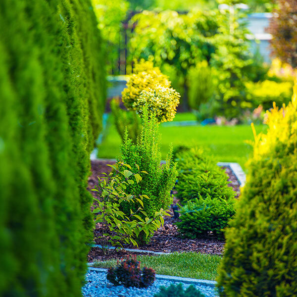 Gardening WordPress Theme 79