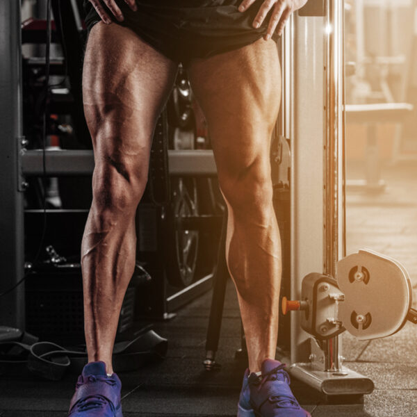 GYM 2 51 GYM 2 51