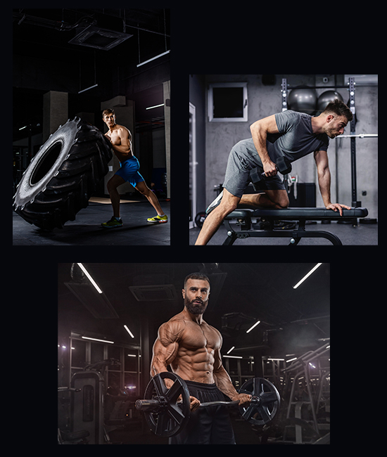 GYM 2 75 GYM 2 75