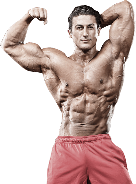 GYM 2 8 GYM 2 8