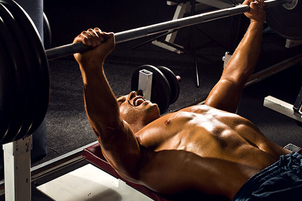 GYM WordPress Theme 41