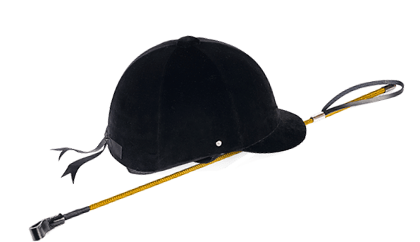 Stable & Horse Club WordPress Theme 64