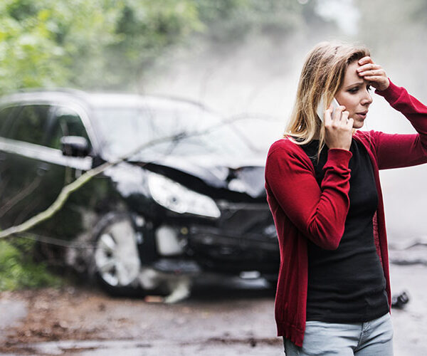 Insurance WordPress Theme 66