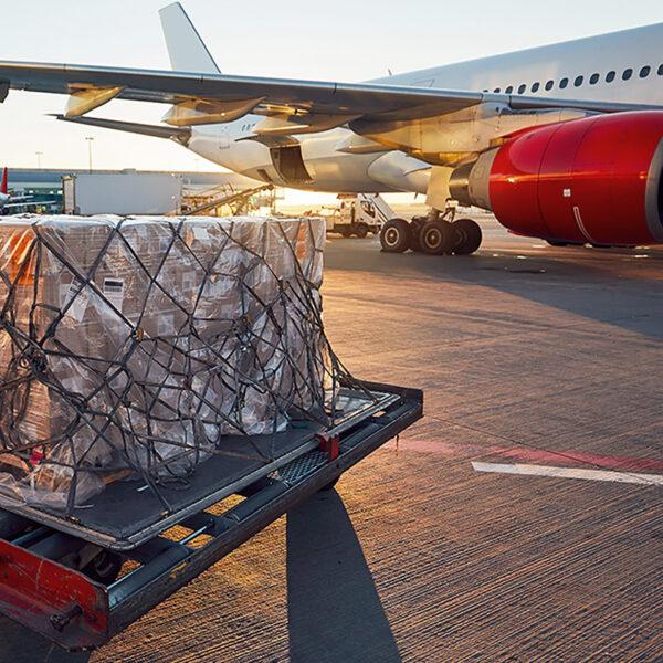 Logistic WordPress Theme 45 Logistic WordPress Theme 45