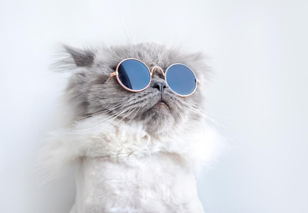 Magazine WordPress Theme 17