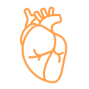 Medical WordPress Theme 52