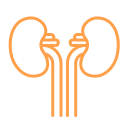 Medical WordPress Theme 19