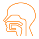 Medical WordPress Theme 27