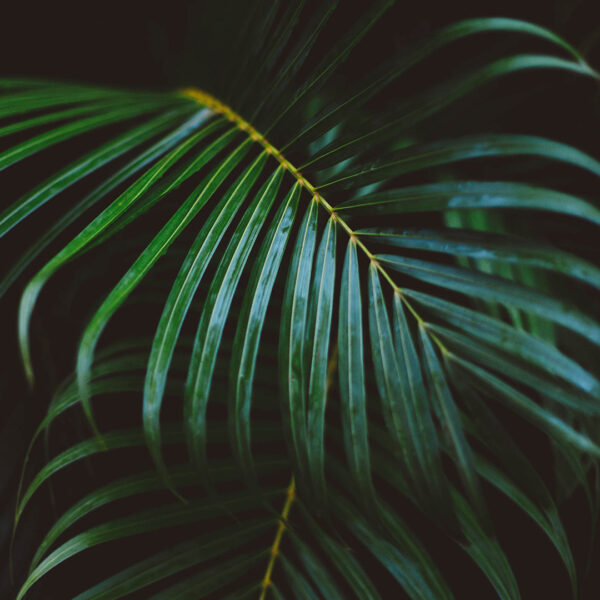 Metro Blog WordPress Theme 68