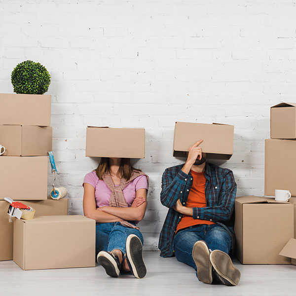 Moving Company WordPress Theme 2