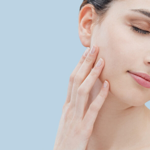 Parallax WordPress Theme 95