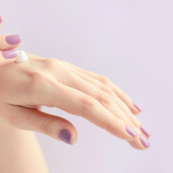 Parallax WordPress Theme 66