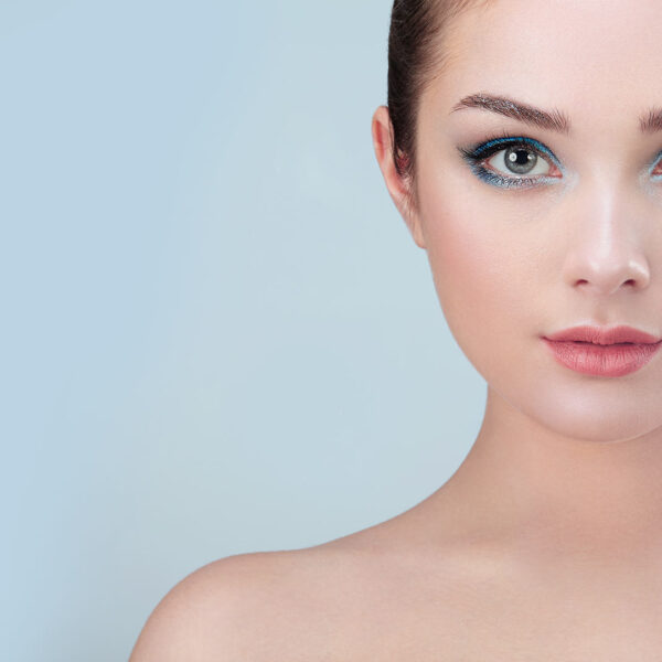 Parallax WordPress Theme 8