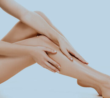 Parallax WordPress Theme 67