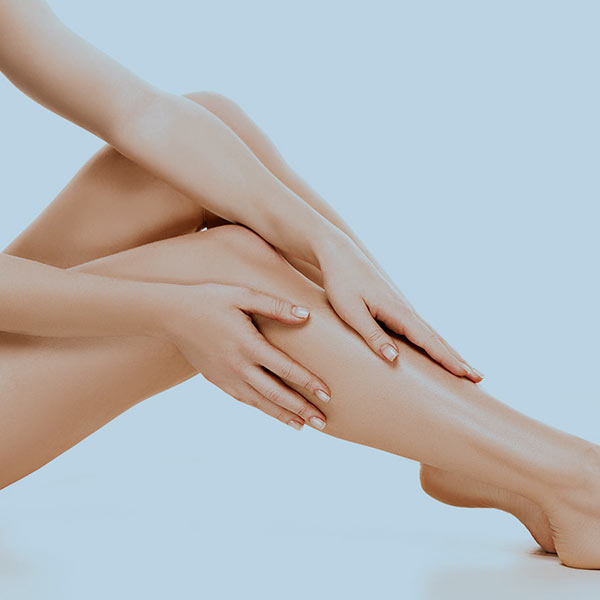 Parallax WordPress Theme 40