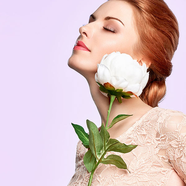 Parallax WordPress Theme 37