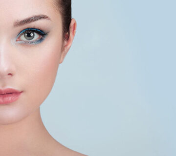 Parallax WordPress Theme 80