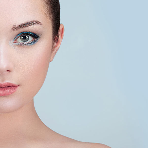 Parallax WordPress Theme 96