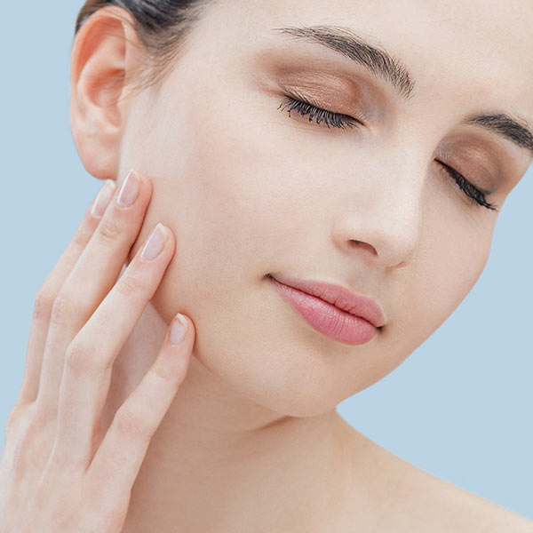 Parallax WordPress Theme 60