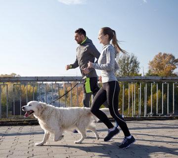 Pet Shop WordPress Theme 50