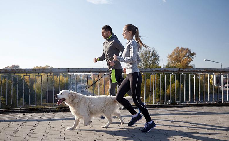 Pet Shop WordPress Theme 71 Pet Shop WordPress Theme 71