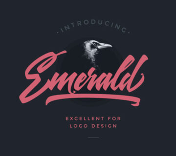 Portfolio WordPress Theme 61 Portfolio WordPress Theme 61