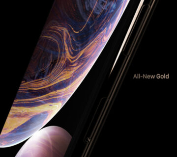 Portfolio WordPress Theme 64