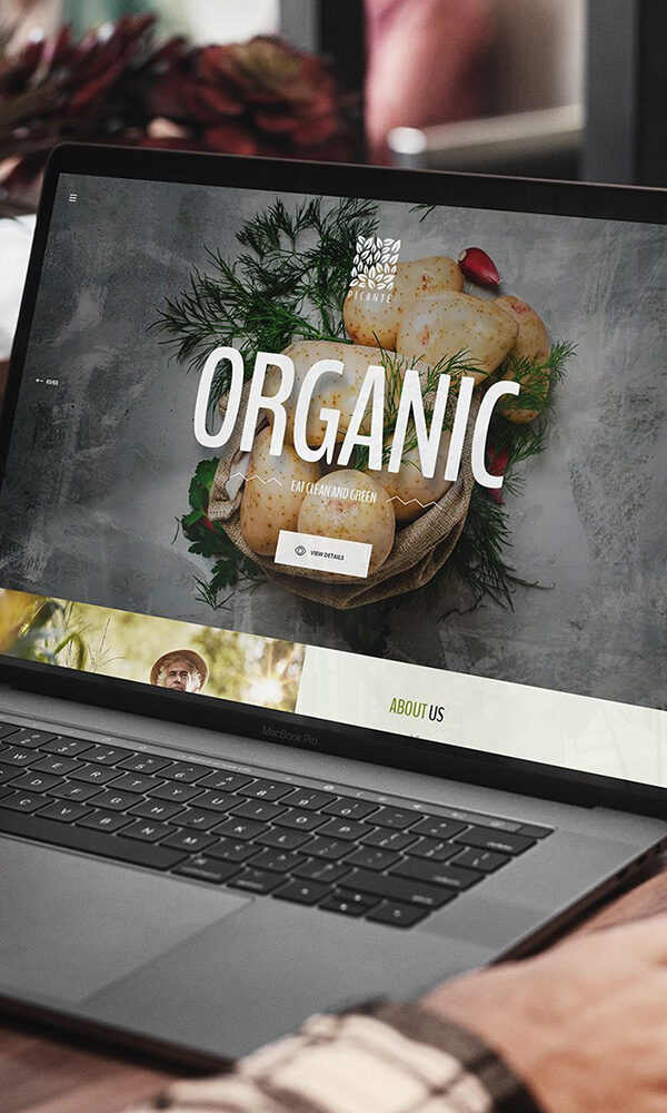 Portfolio WordPress Theme 54