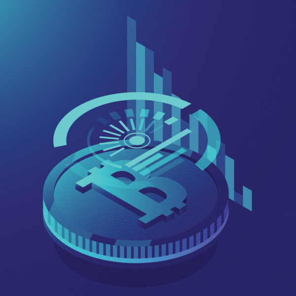 SEO 2 WordPress Theme 29