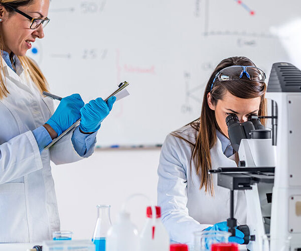 Single Product Shop WordPress Theme 48