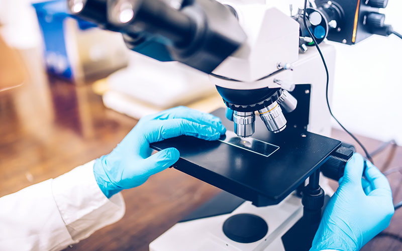 Single Product Shop WordPress Theme 1