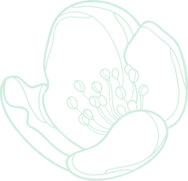 Spa & Massage 2 WordPress Theme 86