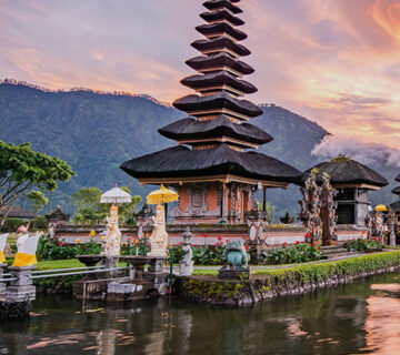 Travel WordPress Theme 4