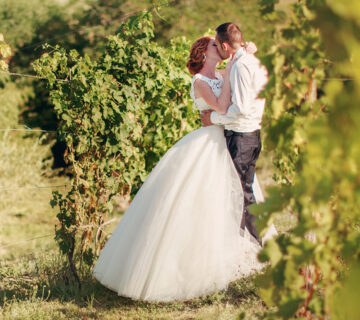 Winery & Wine Shop WordPress Theme 24