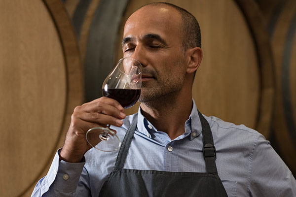 Winery & Wine Shop WordPress Theme 37 Winery & Wine Shop WordPress Theme 37