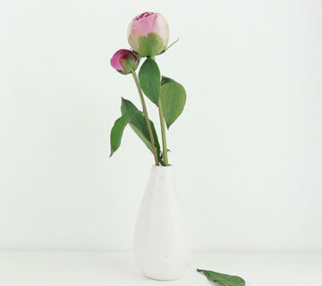Flower Shop WordPress Theme 32