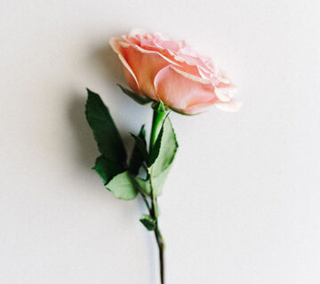 Flower Shop WordPress Theme 78