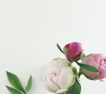 Flower Shop WordPress Theme 42