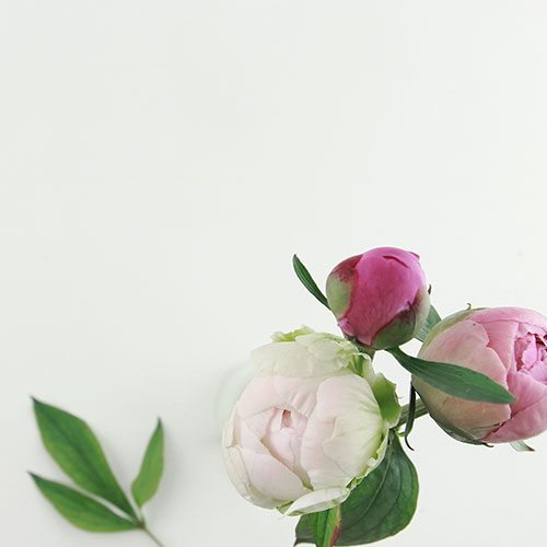 Flower Shop WordPress Theme 60