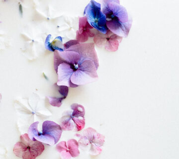 Flower Shop WordPress Theme 7