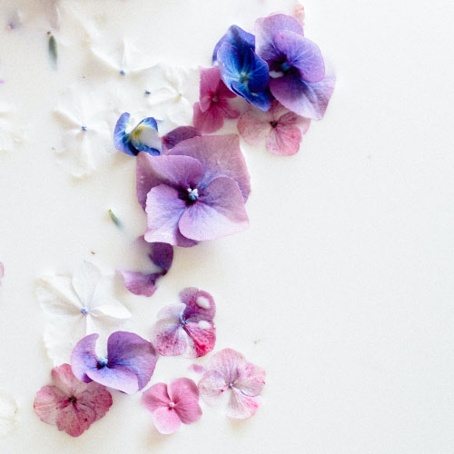 Flower Shop WordPress Theme 60
