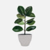 Nerve Plant - Image 2