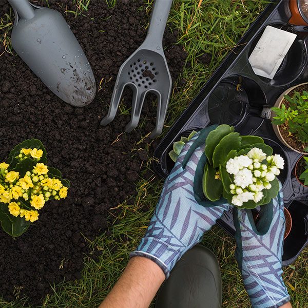 Gardening WordPress Theme 75
