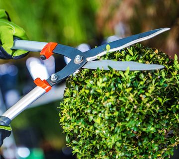 Gardening WordPress Theme 13