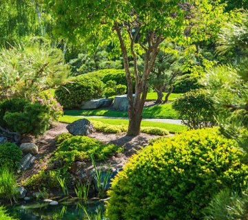 Gardening WordPress Theme 78