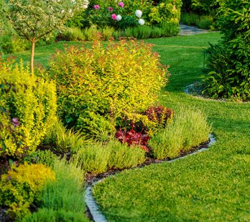 Gardening WordPress Theme 78