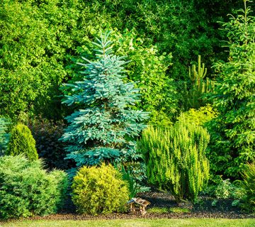 Gardening WordPress Theme 10