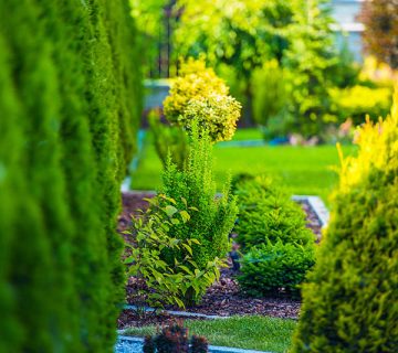 Gardening WordPress Theme 54