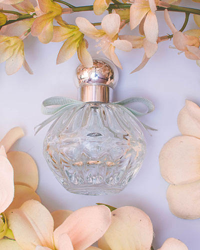 Perfume Shop WordPress Theme 16