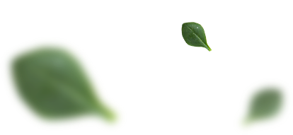green-1 Green 1